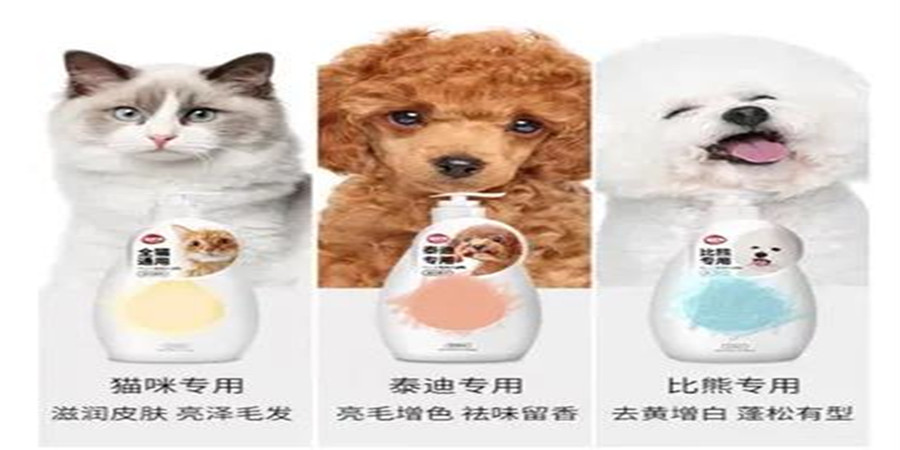 图片上传