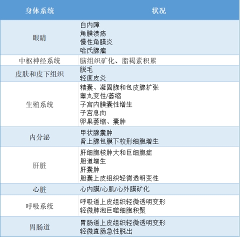 图片上传