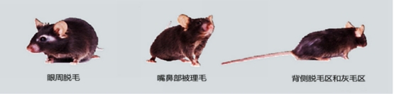 图片上传