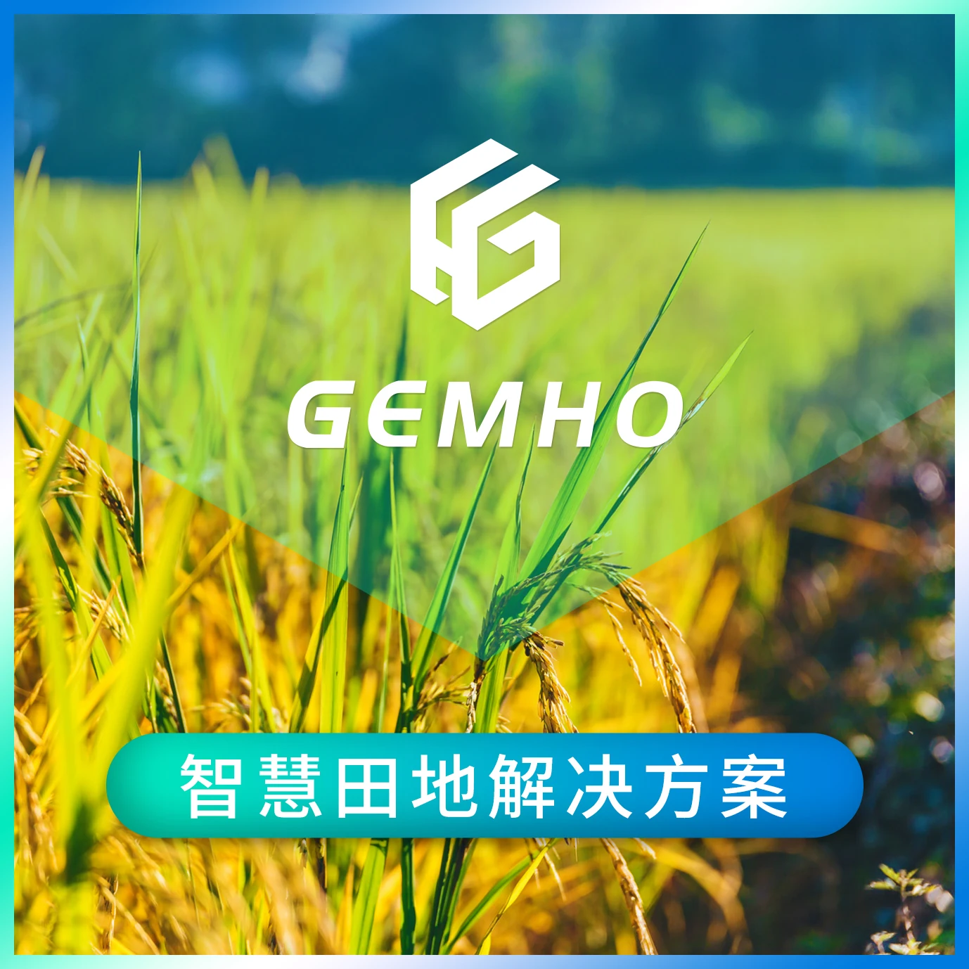 图片上传