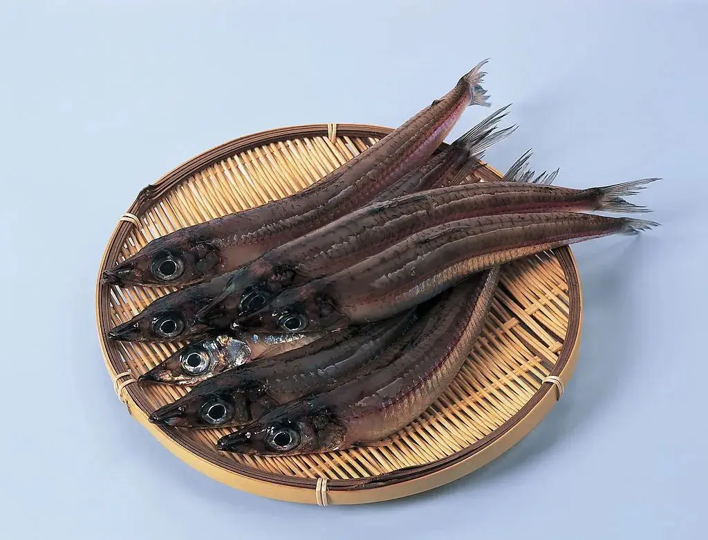養(yǎng)漁先養(yǎng)水，養(yǎng)水先識(shí)水丨漁業(yè)水質(zhì)檢測(cè)，如何選擇合適的水質(zhì)分析儀器？