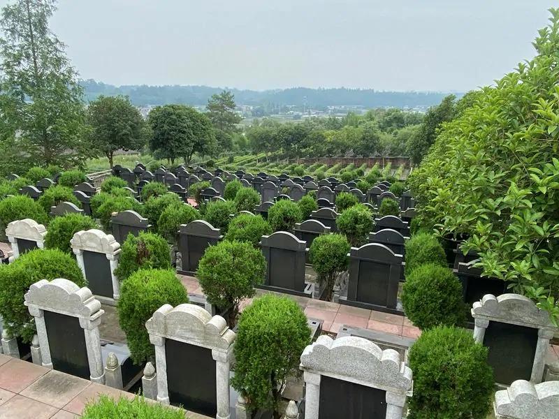 蟠龙公墓创建于 1991 年,坐落在黄龙溪镇古佛洞村的蟠龙山上